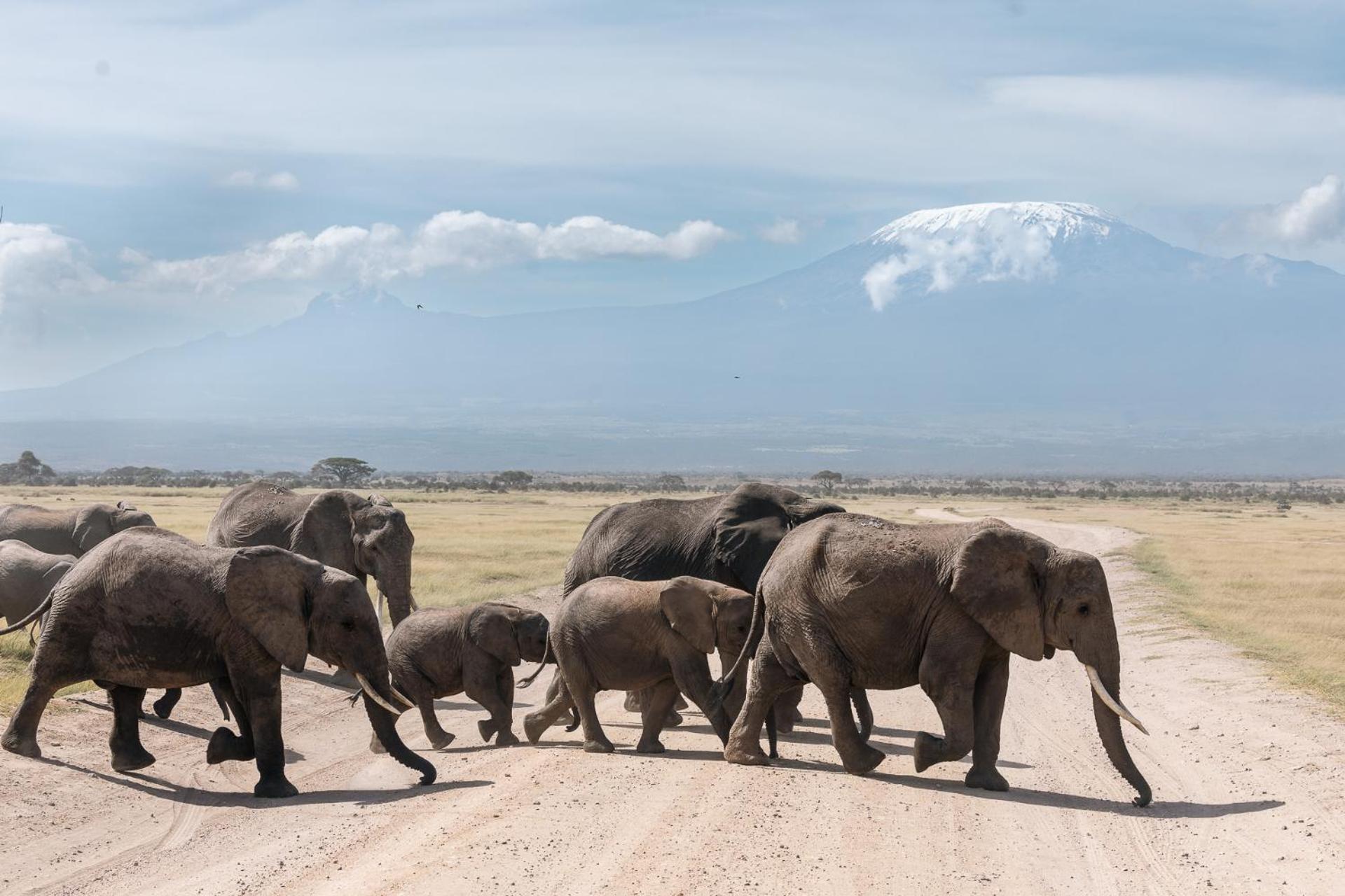 Amboseli Glass House Oloitokitok Εξωτερικό φωτογραφία